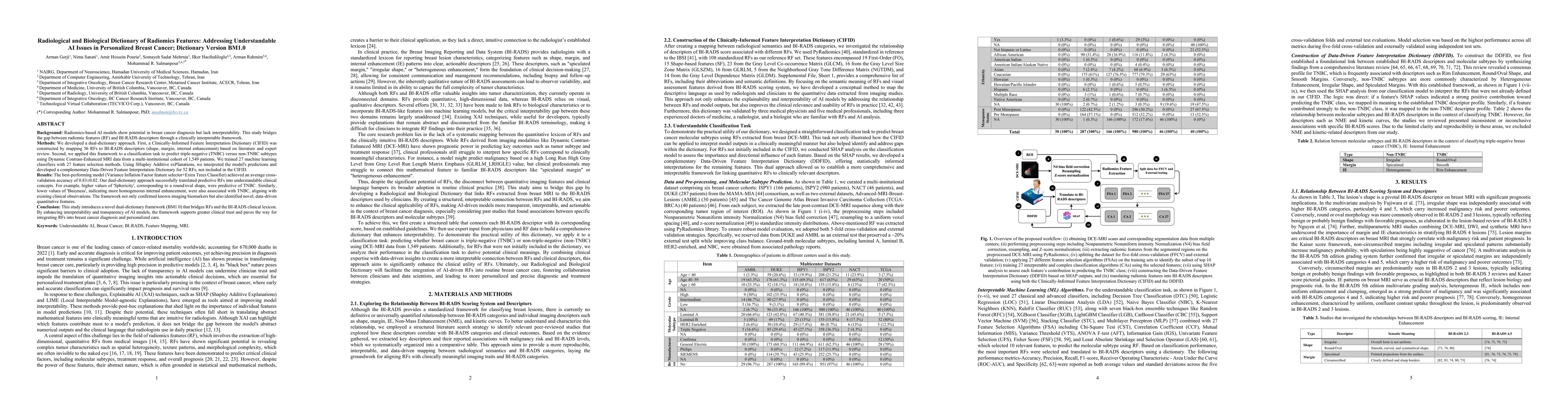 Thumbnail for Radiological and Biological Dictionary of Radiomics Features: Addressing
  Understandable AI Issues in Personalized Breast Cancer; Dictionary Version
  BM1.0