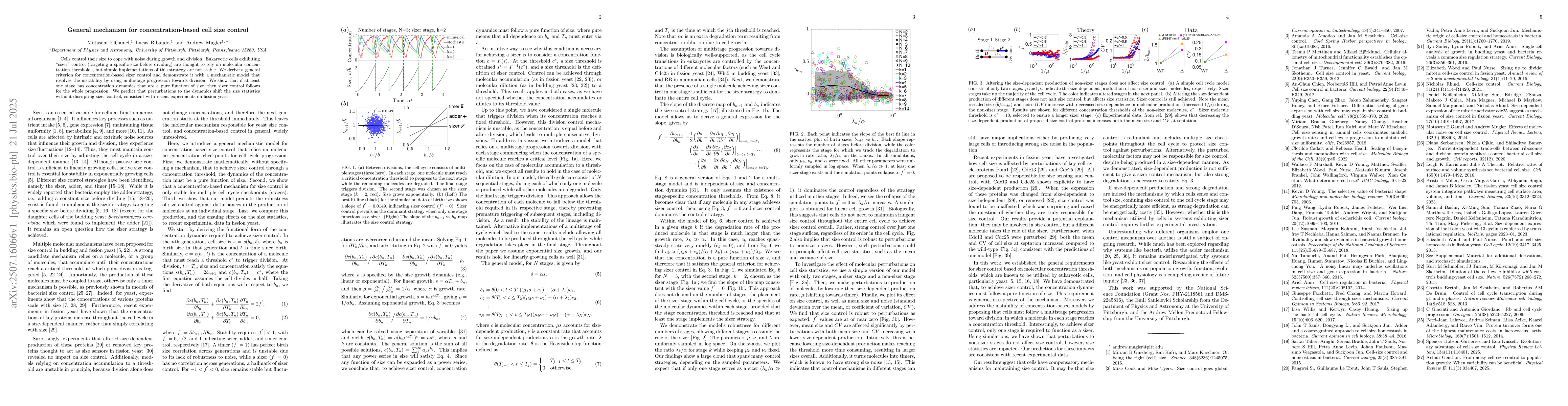 Thumbnail for General mechanism for concentration-based cell size control