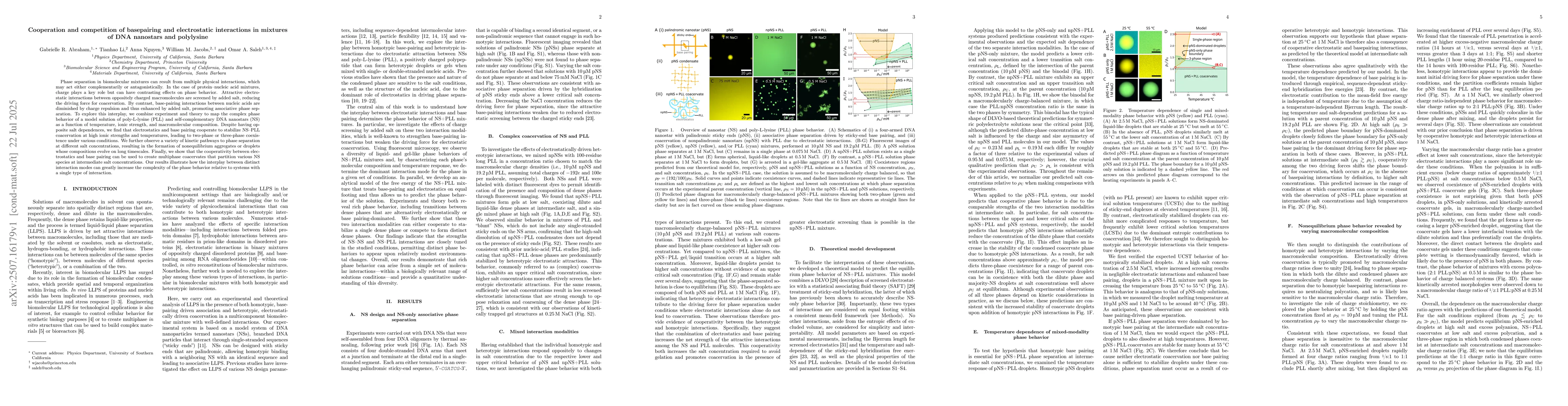 Thumbnail for Cooperation and competition of basepairing and electrostatic
  interactions in mixtures of DNA nanostars and polylysine