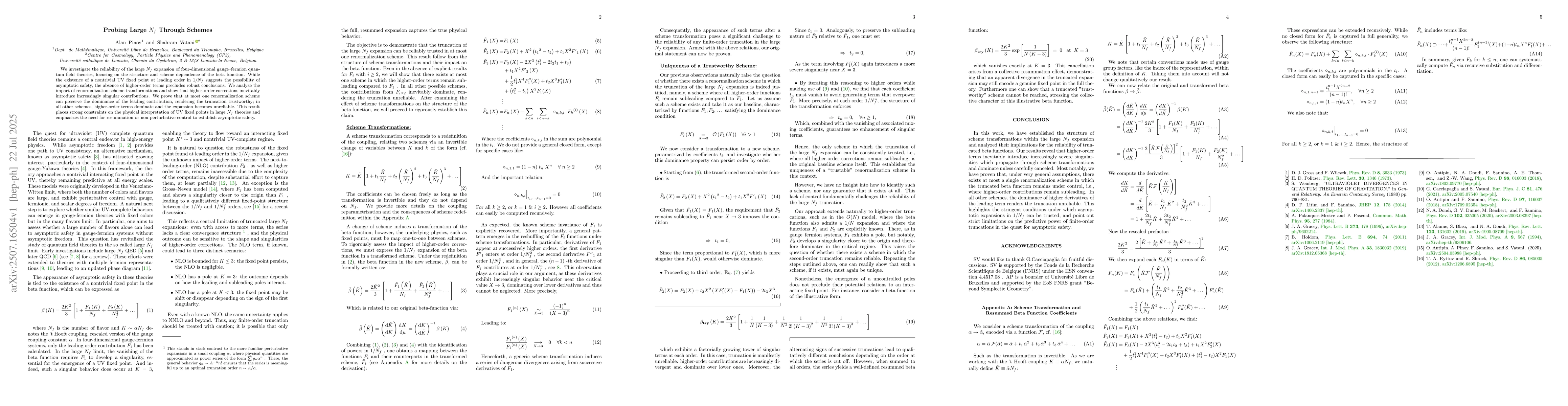 Thumbnail for Probing Large $N_f$ Through Schemes