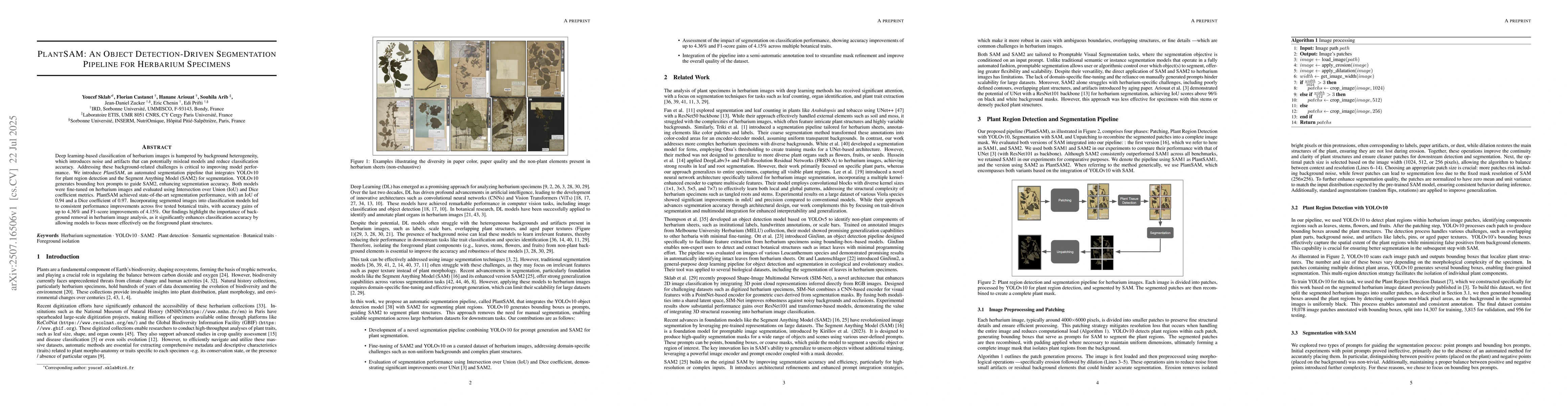 Thumbnail for PlantSAM: An Object Detection-Driven Segmentation Pipeline for Herbarium
  Specimens