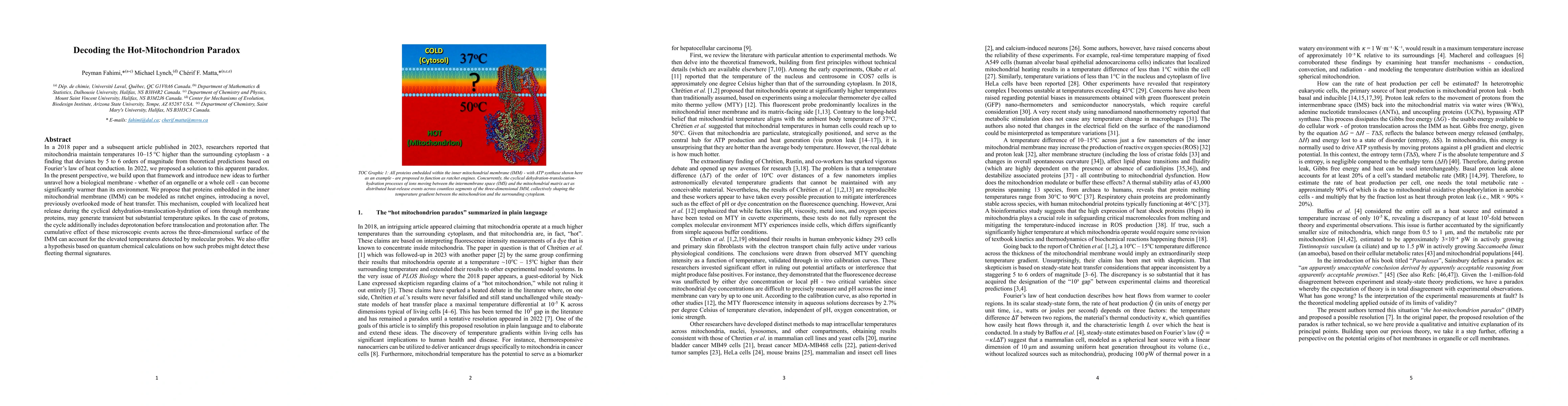 Thumbnail for Decoding the Hot-Mitochondrion Paradox