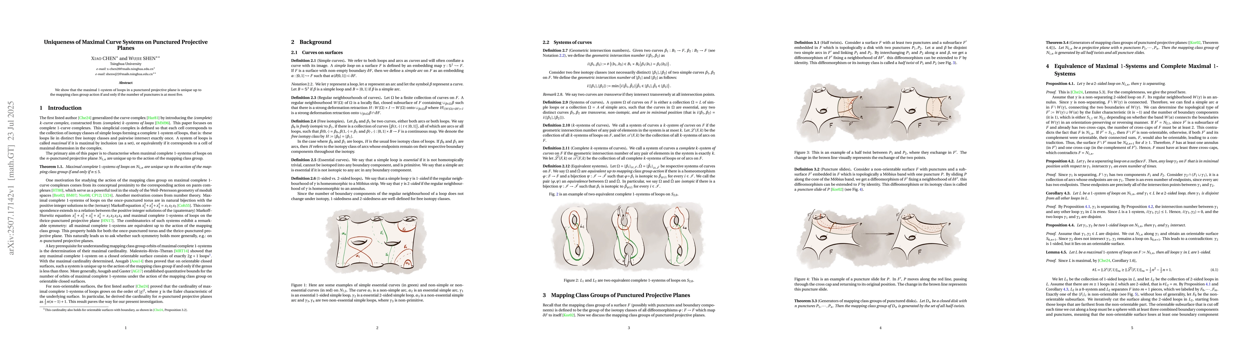 Thumbnail for Uniqueness of Maximal Curve Systems on Punctured Projective Planes