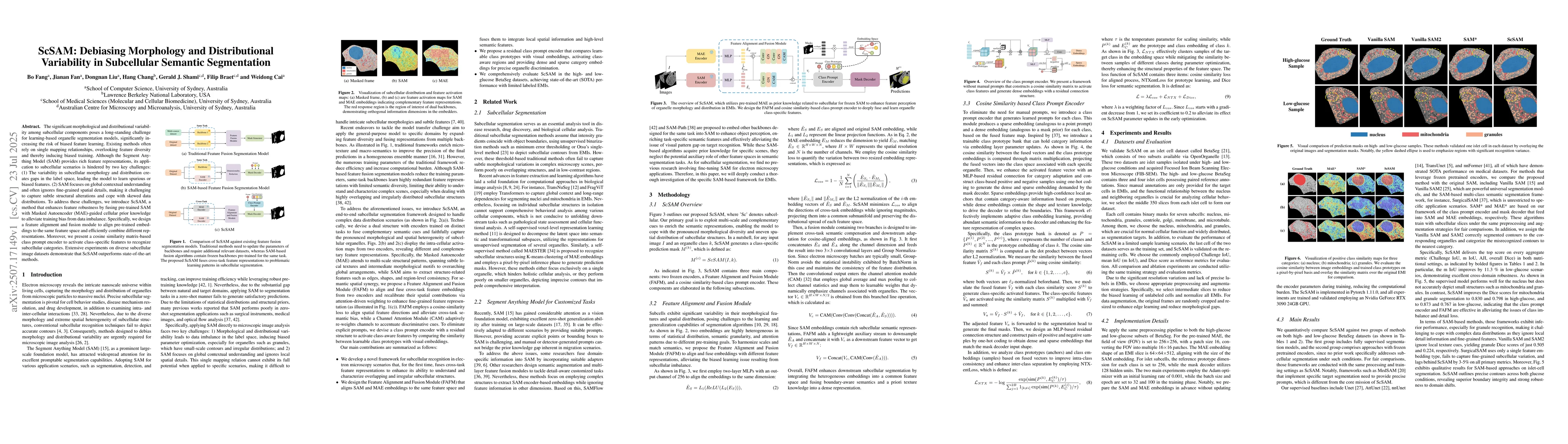 Thumbnail for ScSAM: Debiasing Morphology and Distributional Variability in
  Subcellular Semantic Segmentation