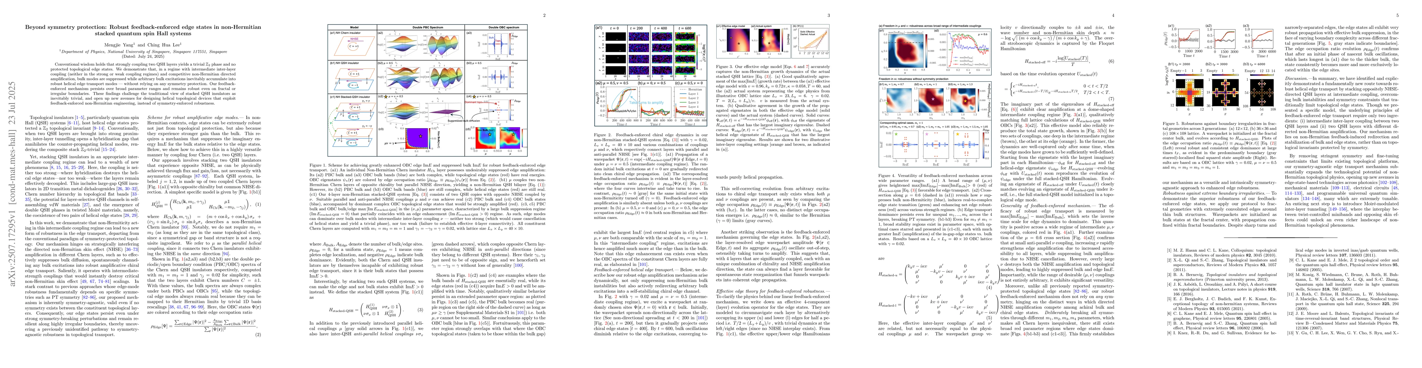 Thumbnail for Beyond symmetry protection: Robust feedback-enforced edge states in
  non-Hermitian stacked quantum spin Hall systems