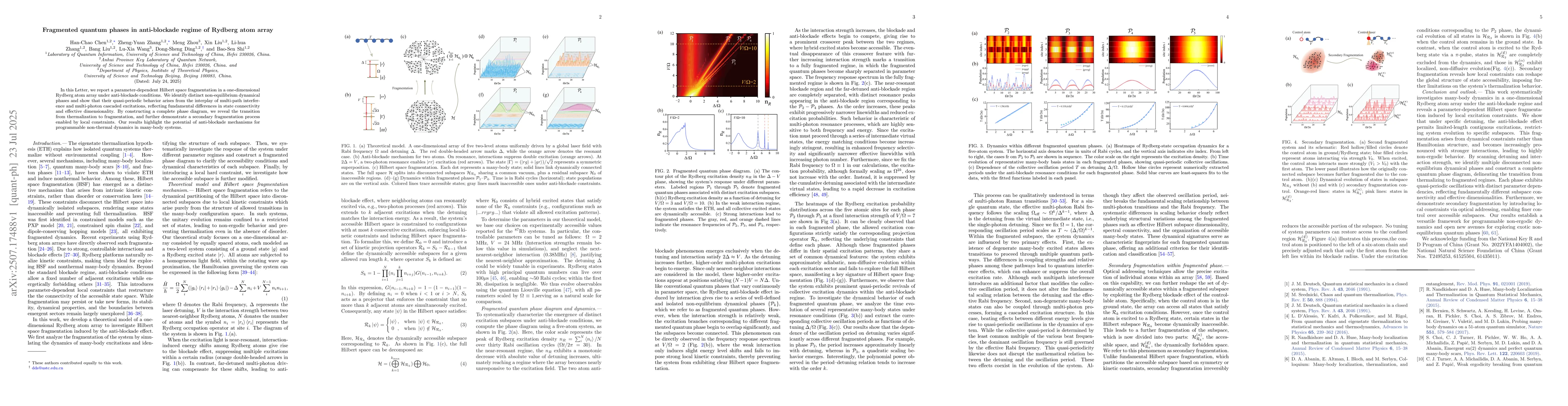 Thumbnail for Fragmented quantum phases in anti-blockade regime of Rydberg atom array