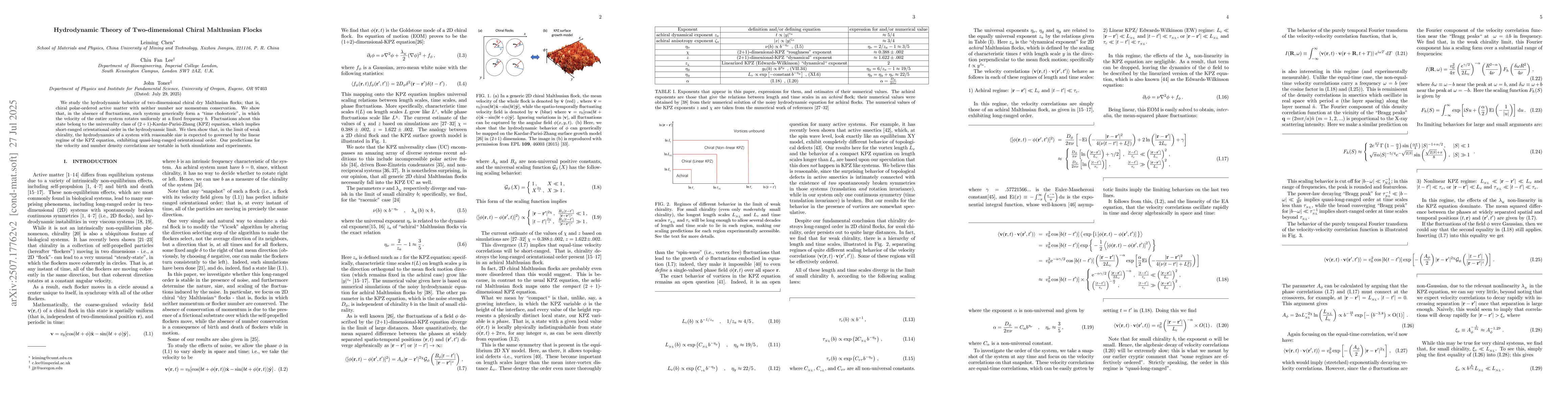 Thumbnail for Hydrodynamic Theory of Two-dimensional Chiral Malthusian Flocks
