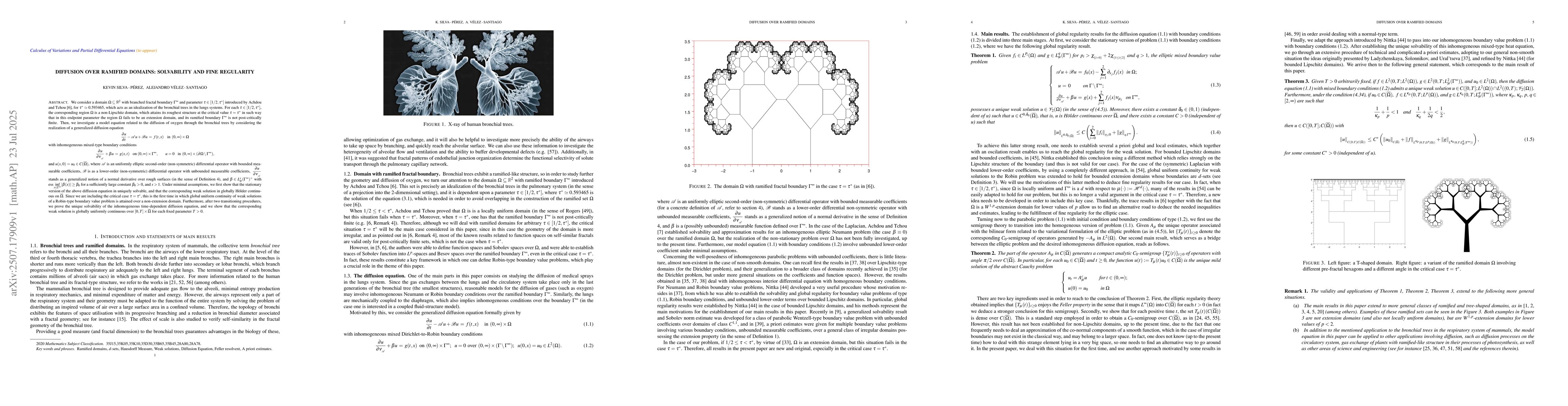 Thumbnail for Diffusion over ramified domains: solvability and fine regularity
