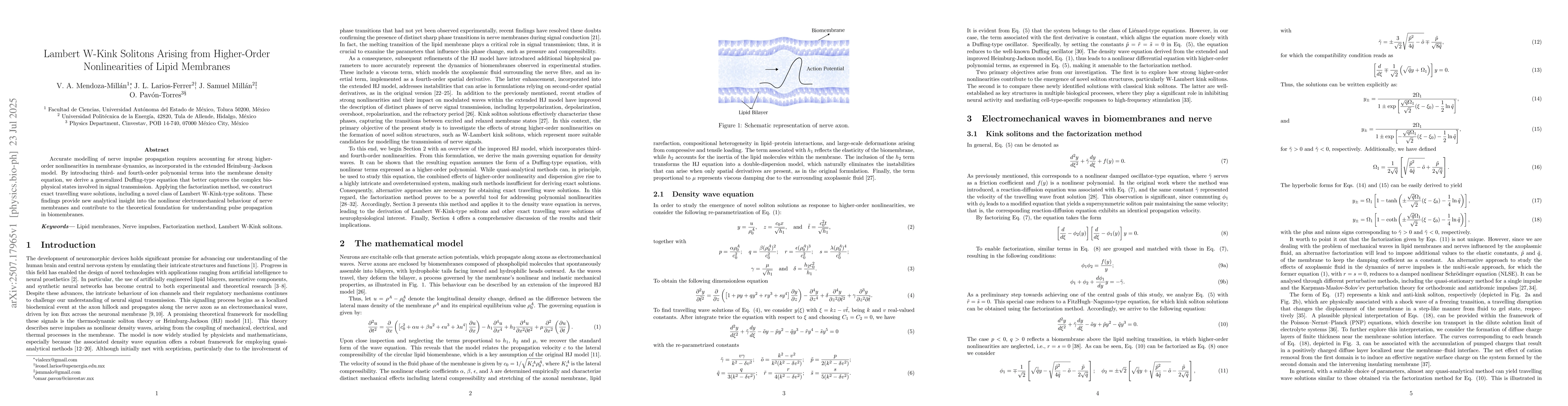 Thumbnail for Lambert W-kink Solitons Arising from Higher-Order Nonlinearities of
  Lipid Membranes