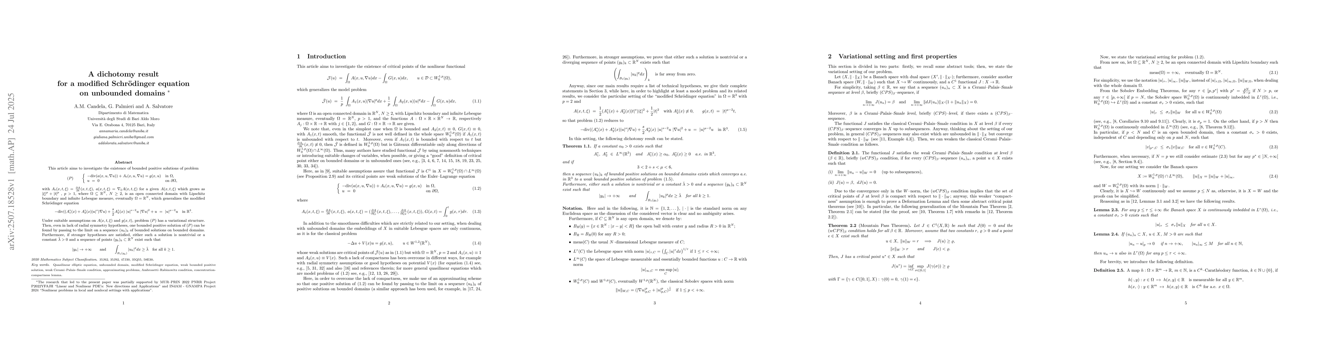 Thumbnail for A dichotomy result for a modified Schrödinger equations on unbounded
  domains