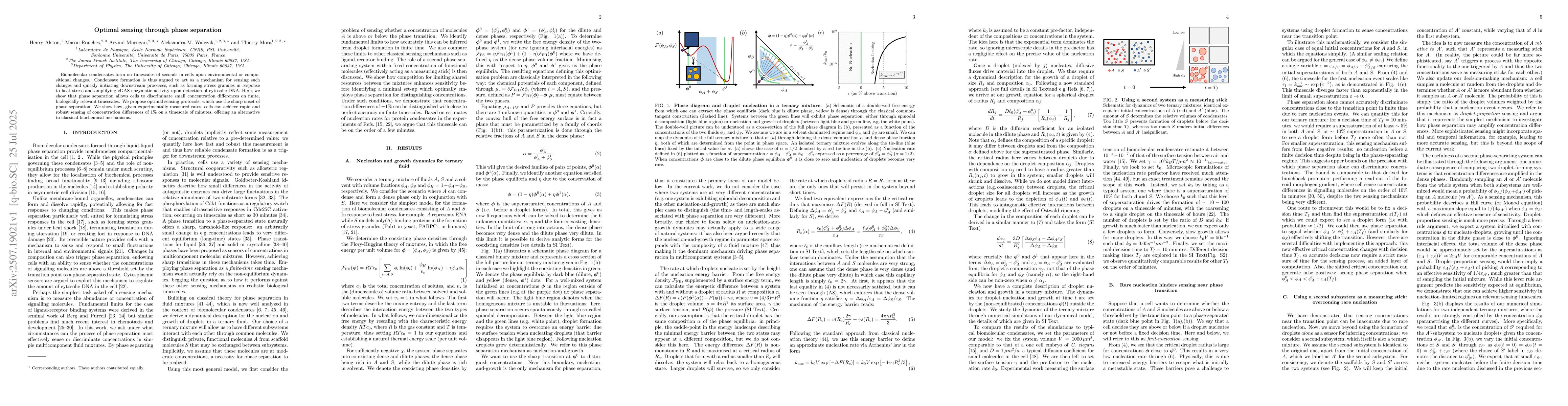 Thumbnail for Optimal sensing through phase separation