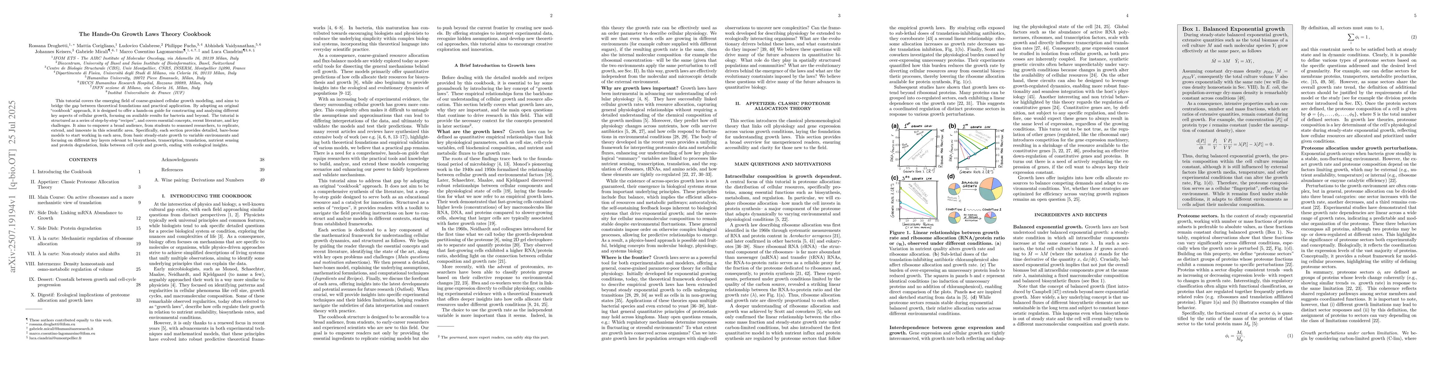 Thumbnail for The Hands-On Growth Laws Theory Cookbook