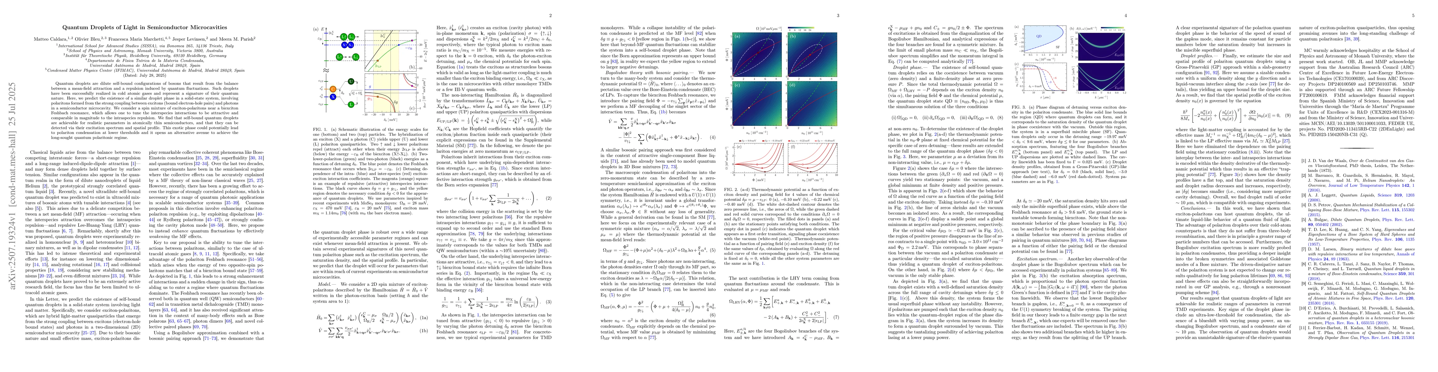 Thumbnail for Quantum Droplets of Light in Semiconductor Microcavities