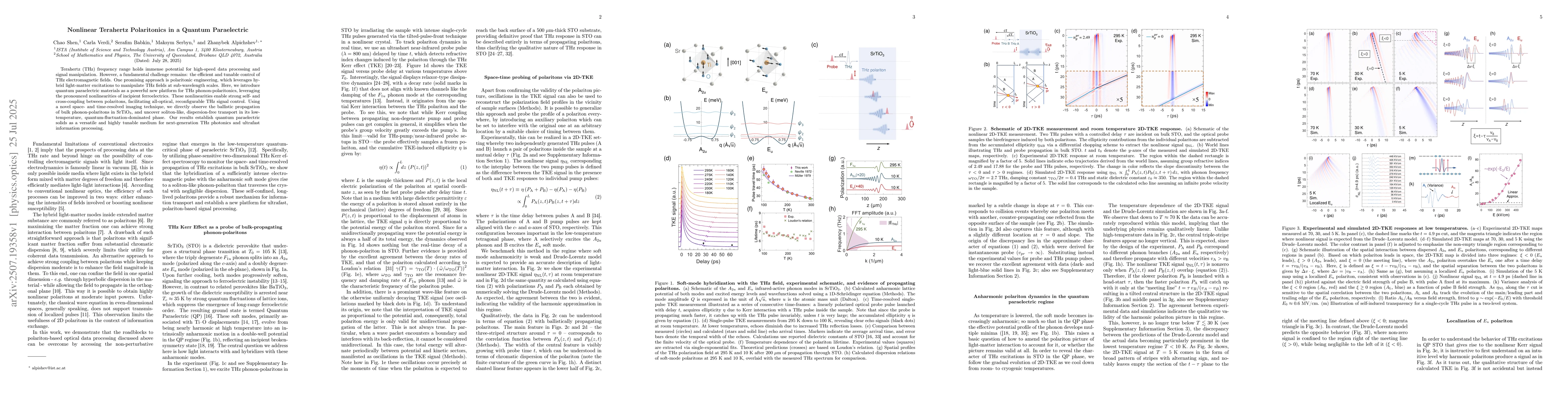 Thumbnail for Nonlinear Terahertz Polaritonics in a Quantum Paraelectric