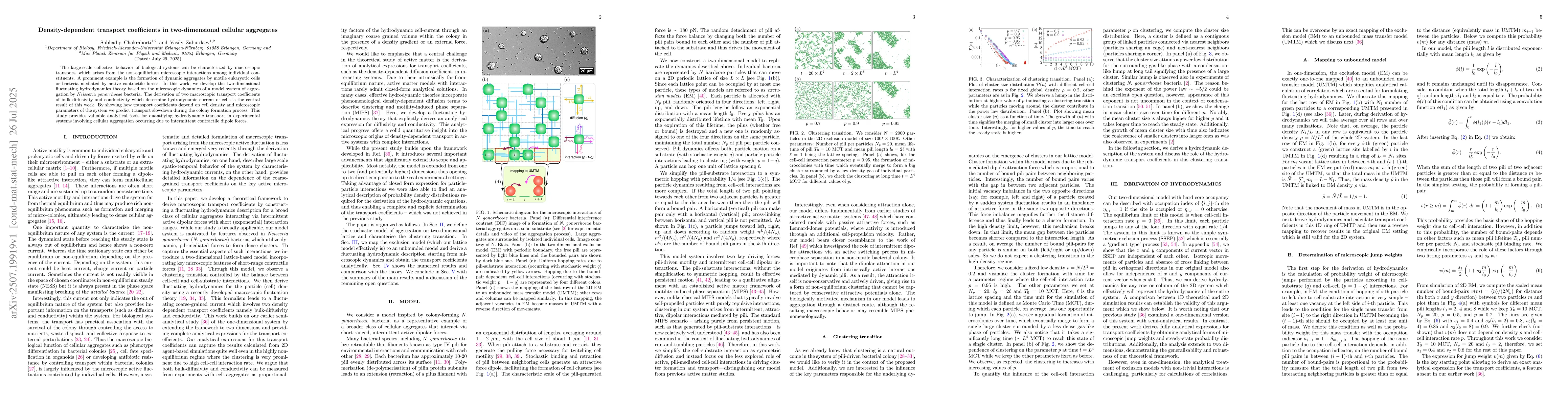 Thumbnail for Density-dependent transport coefficients in two-dimensional cellular
  aggregates