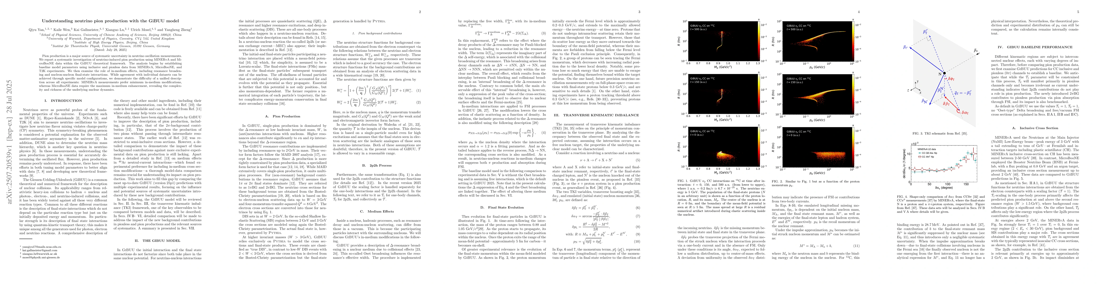 Thumbnail for Understanding neutrino pion production with the GiBUU model