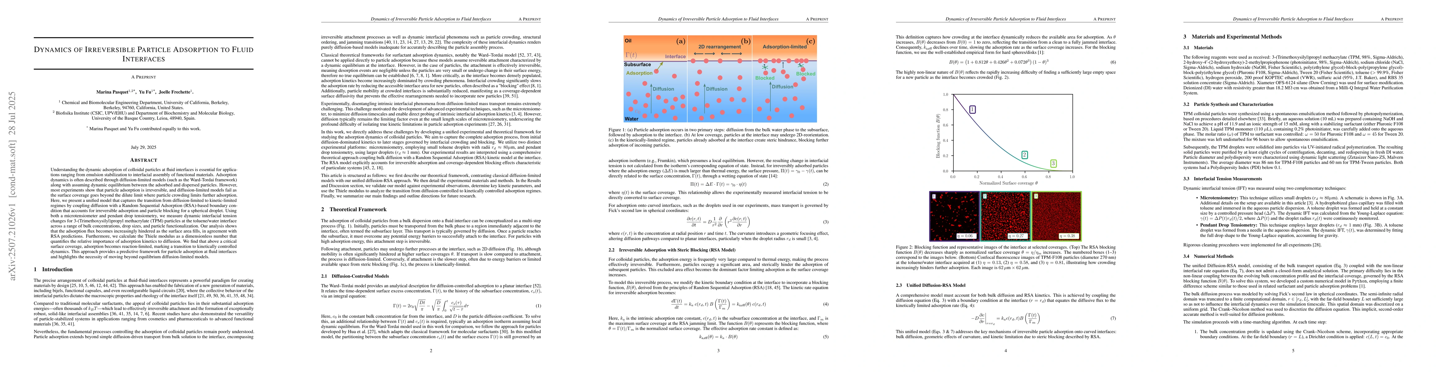Thumbnail for Dynamics of Irreversible Particle Adsorption to Fluid Interfaces