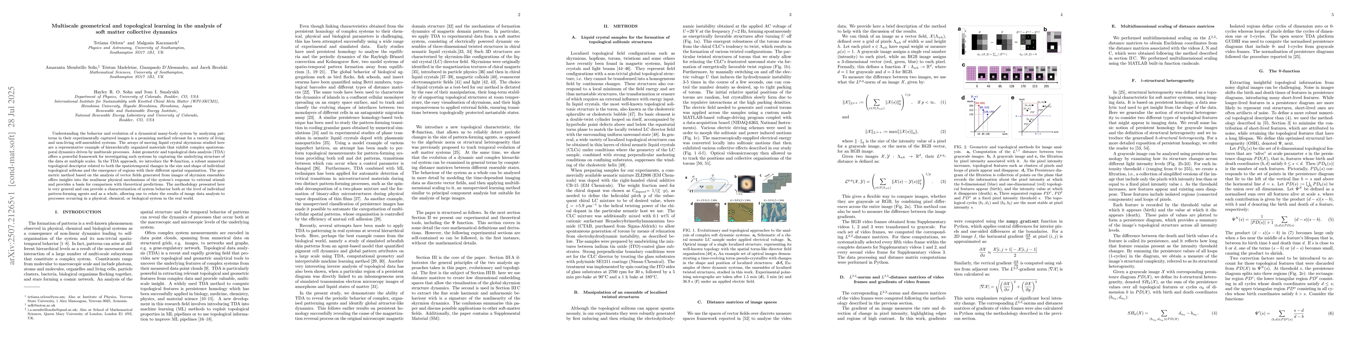 Thumbnail for Multiscale geometrical and topological learning in the analysis of soft
  matter collective dynamics