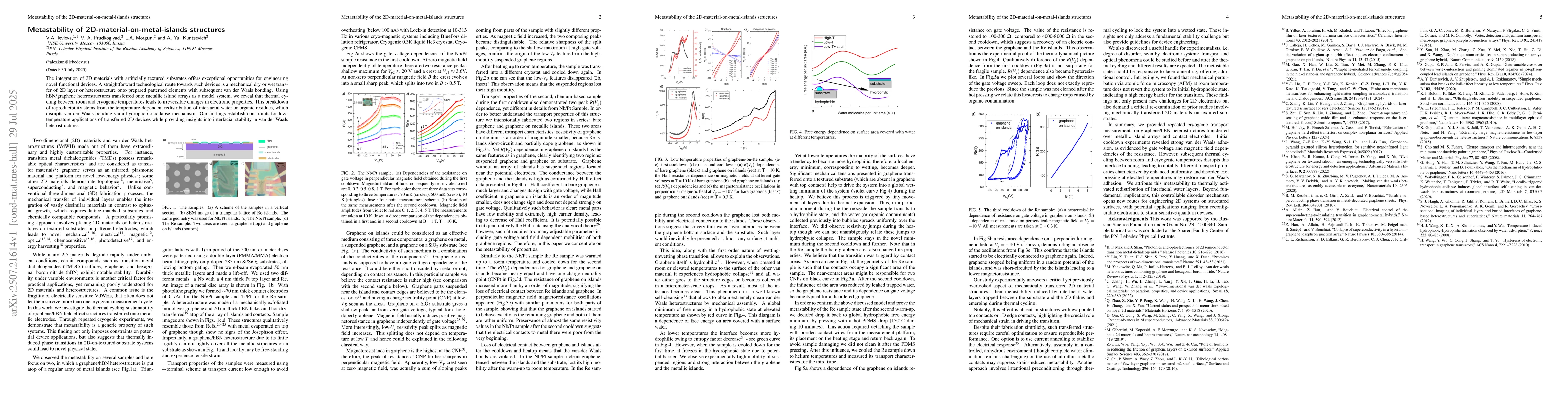 Thumbnail for Metastability of 2D-material-on-metal-islands structures