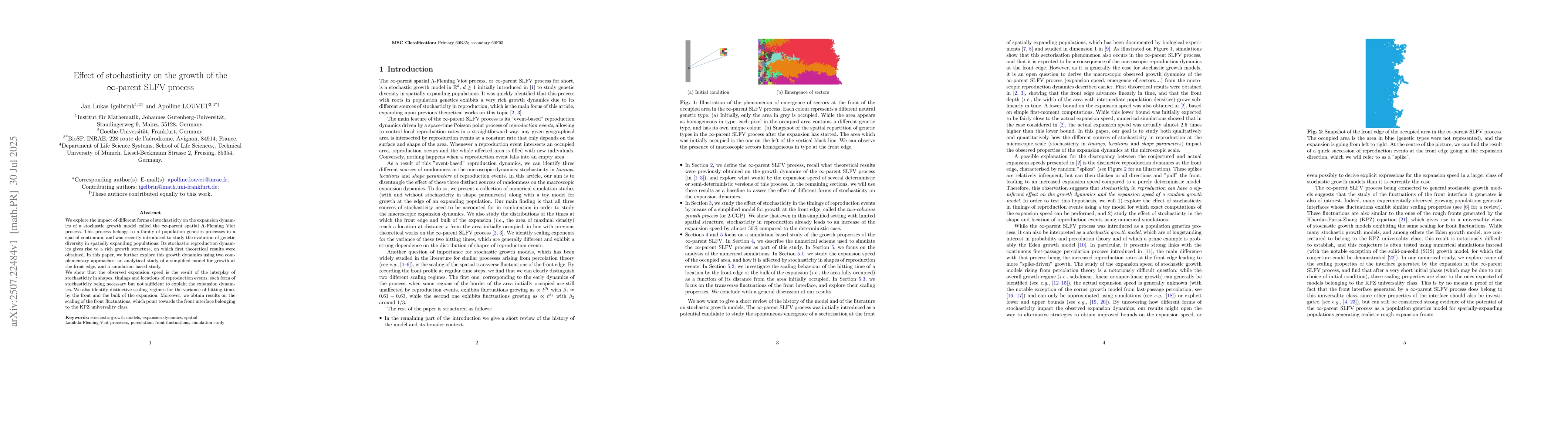 Thumbnail for Effect of stochasticity on the growth of the infty-parent SLFV process
