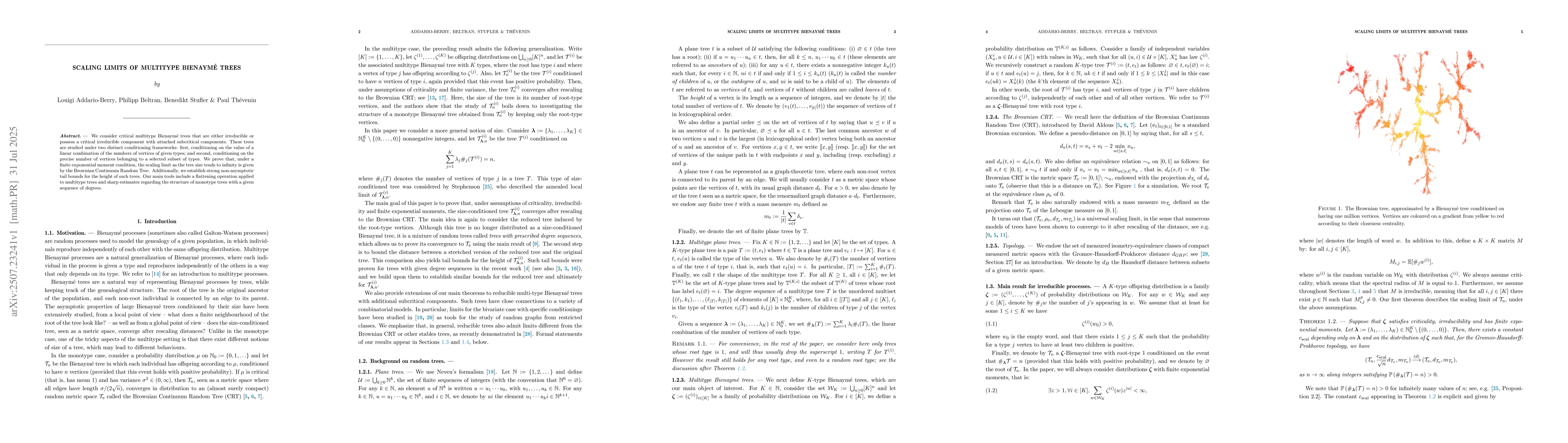Thumbnail for Scaling limits of multitype BienaymĂŠ trees