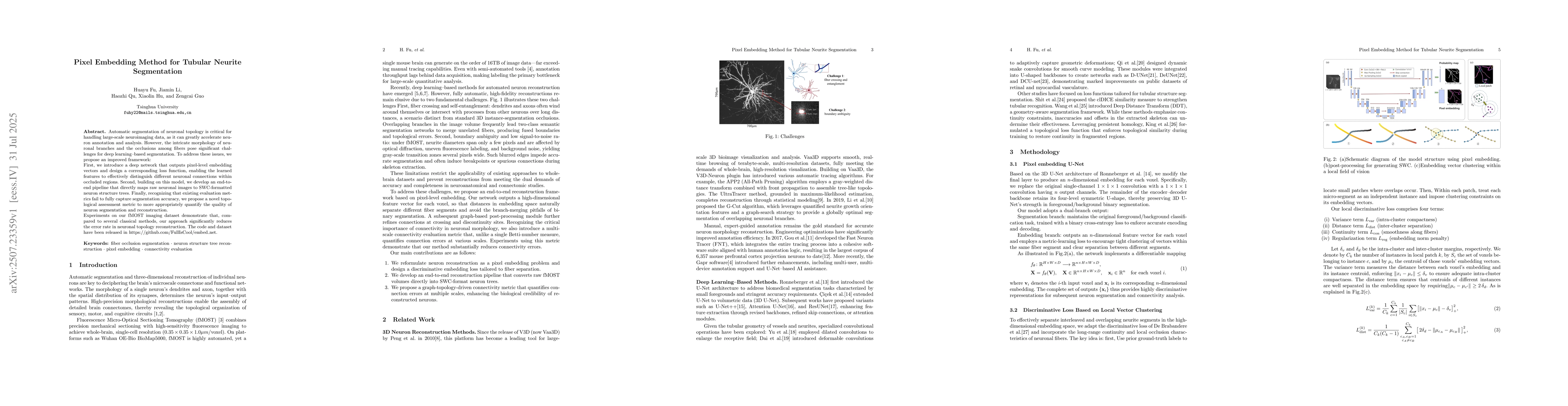 Thumbnail for Pixel Embedding Method for Tubular Neurite Segmentation