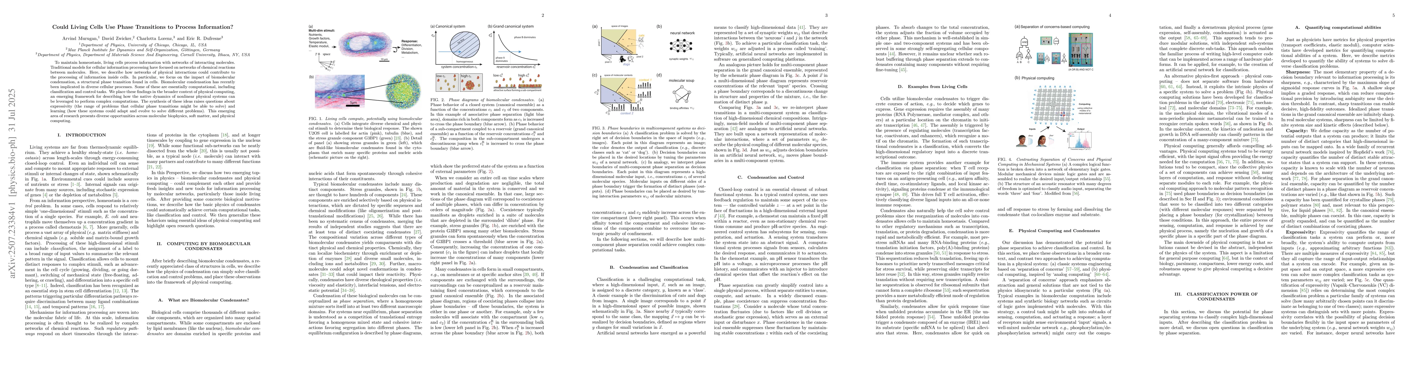 Thumbnail for Could Living Cells Use Phase Transitions to Process Information?