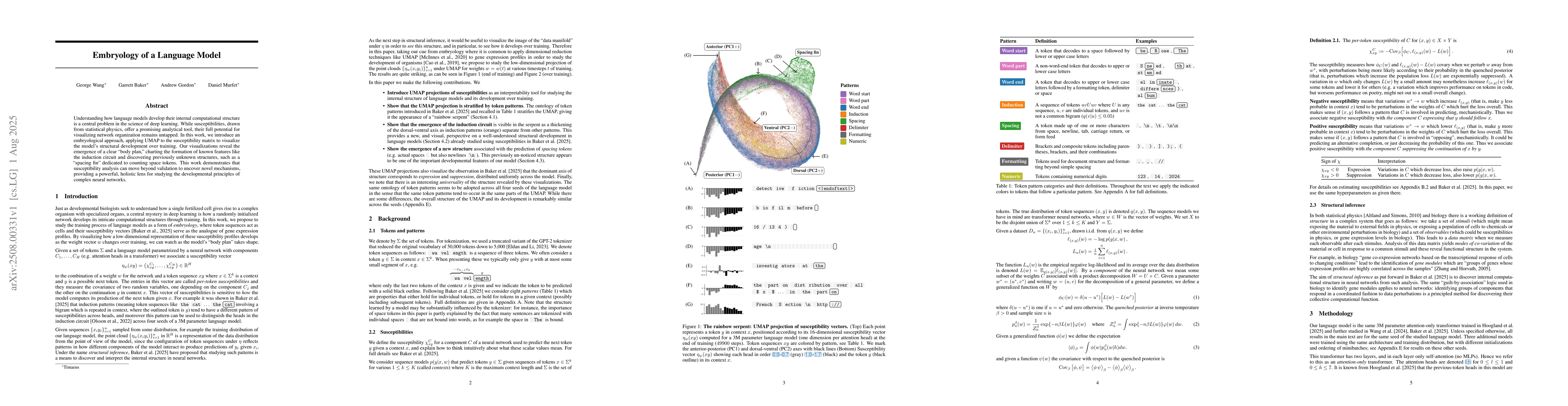 Thumbnail for Embryology of a Language Model