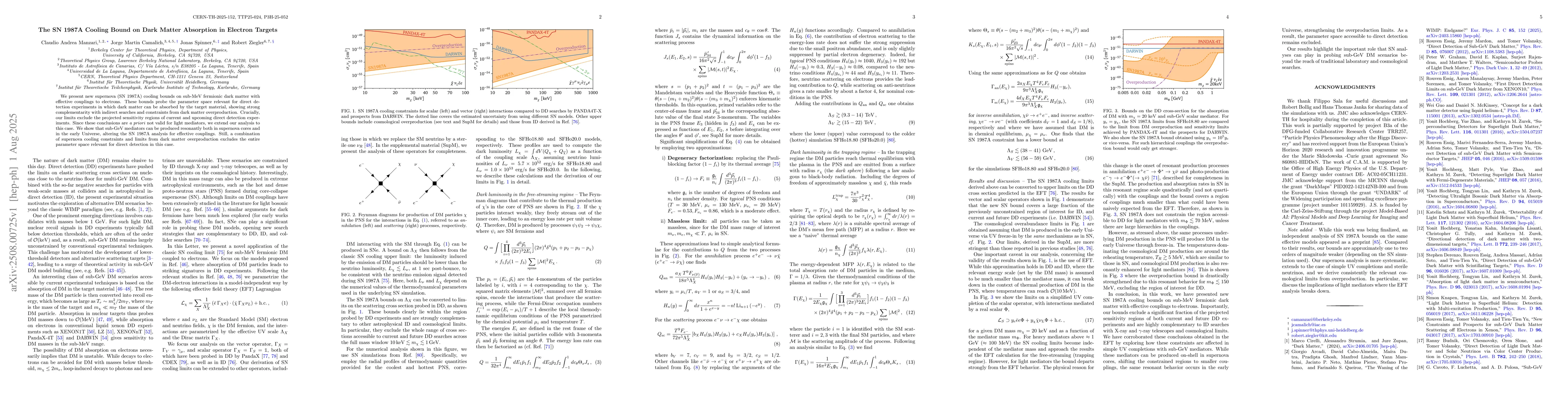 Thumbnail for The SN 1987A Cooling Bound on Dark Matter Absorption in Electron Targets