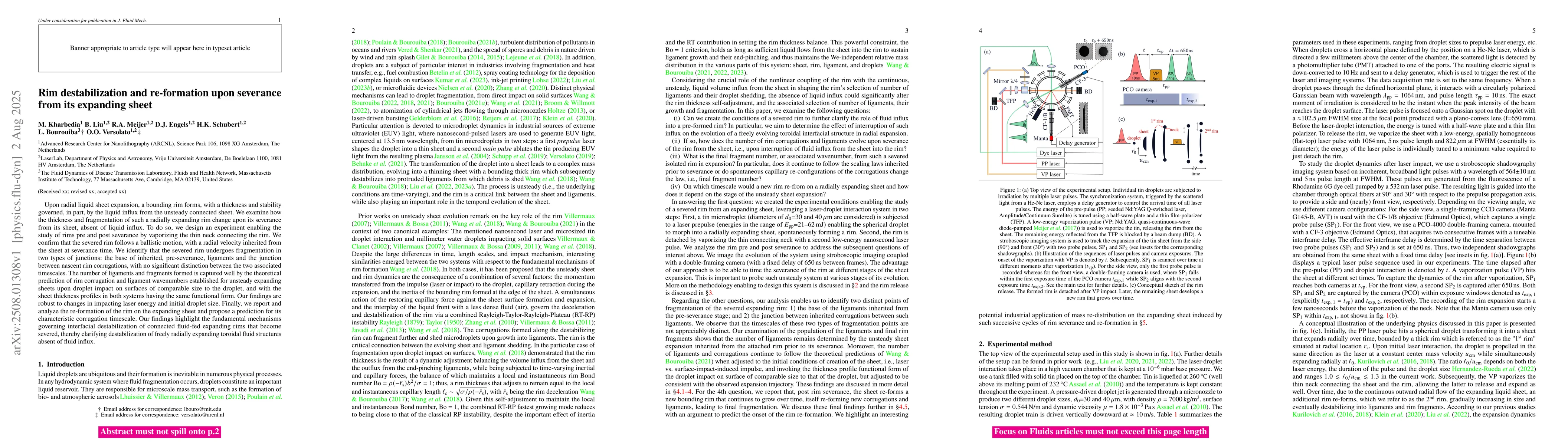 Thumbnail for Rim destabilization and re-formation upon severance from its expanding
  sheet