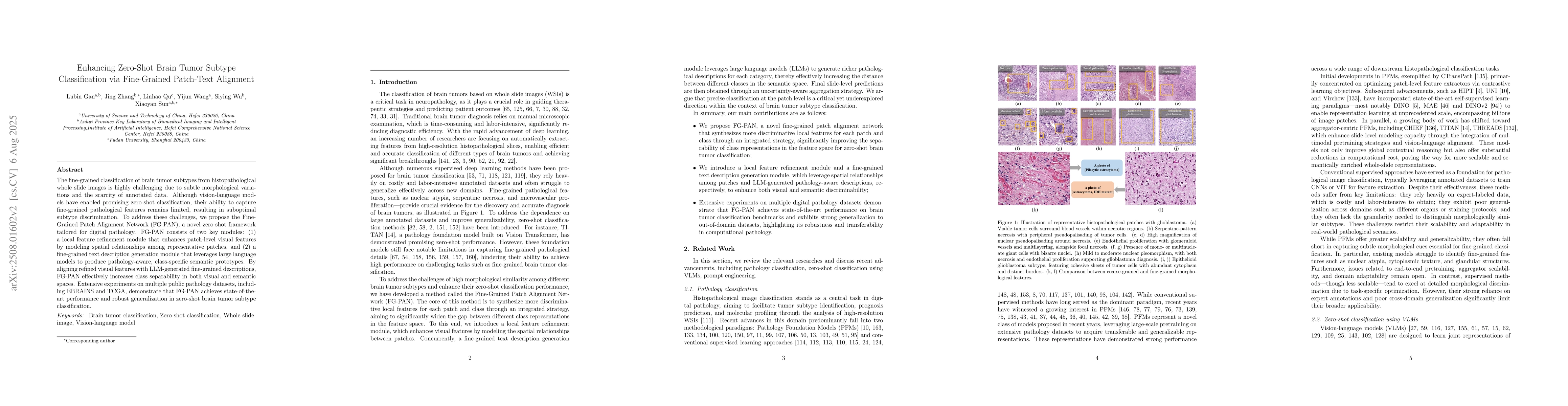 Thumbnail for Enhancing Zero-Shot Brain Tumor Subtype Classification via Fine-Grained
  Patch-Text Alignment