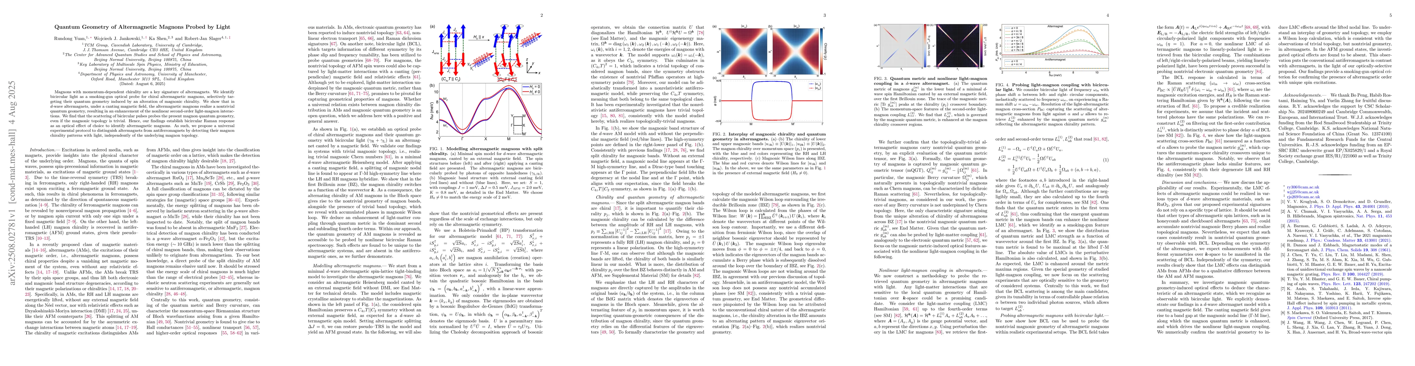 Thumbnail for Quantum Geometry of Altermagnetic Magnons Probed by Light