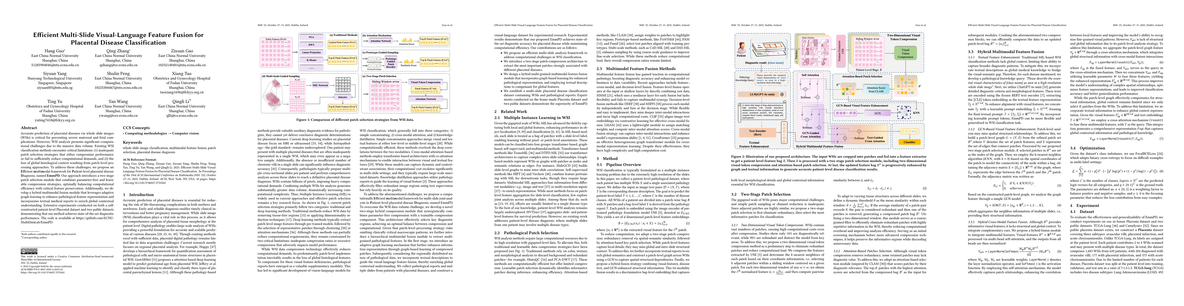 Thumbnail for Efficient Multi-Slide Visual-Language Feature Fusion for Placental
  Disease Classification