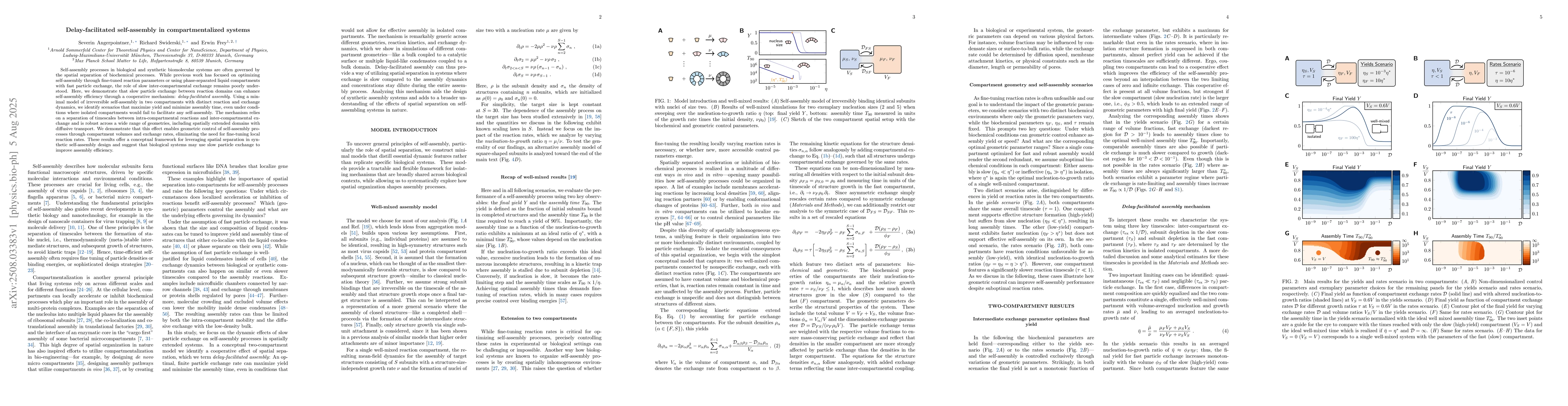 Thumbnail for Delay-facilitated self-assembly in compartmentalized systems