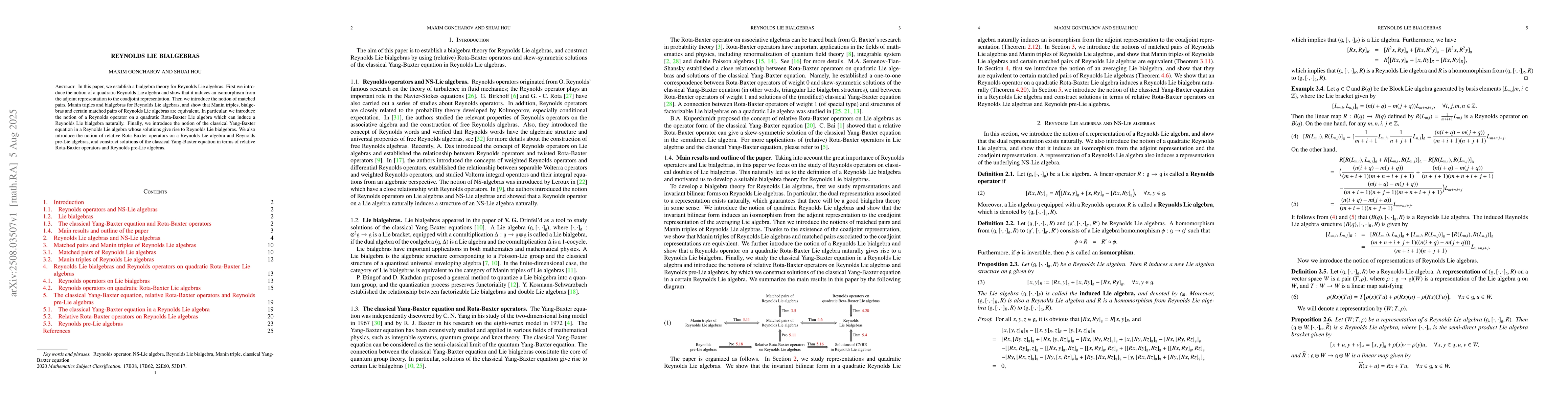 Thumbnail for Reynolds Lie bialgebras