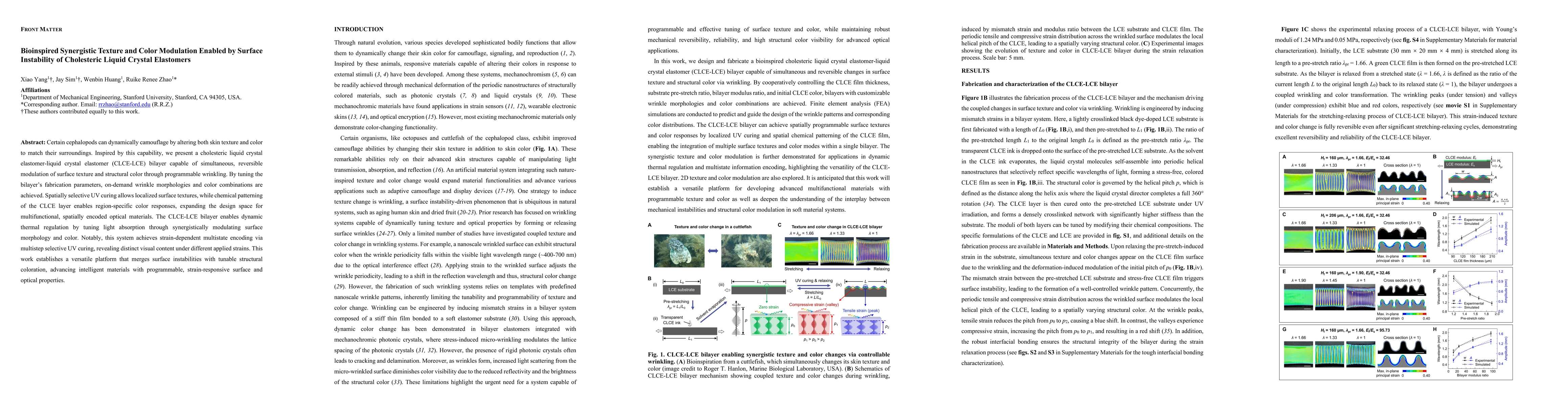 Thumbnail for Bioinspired Synergistic Texture and Color Modulation Enabled by Surface
  Instability of Cholesteric Liquid Crystal Elastomers