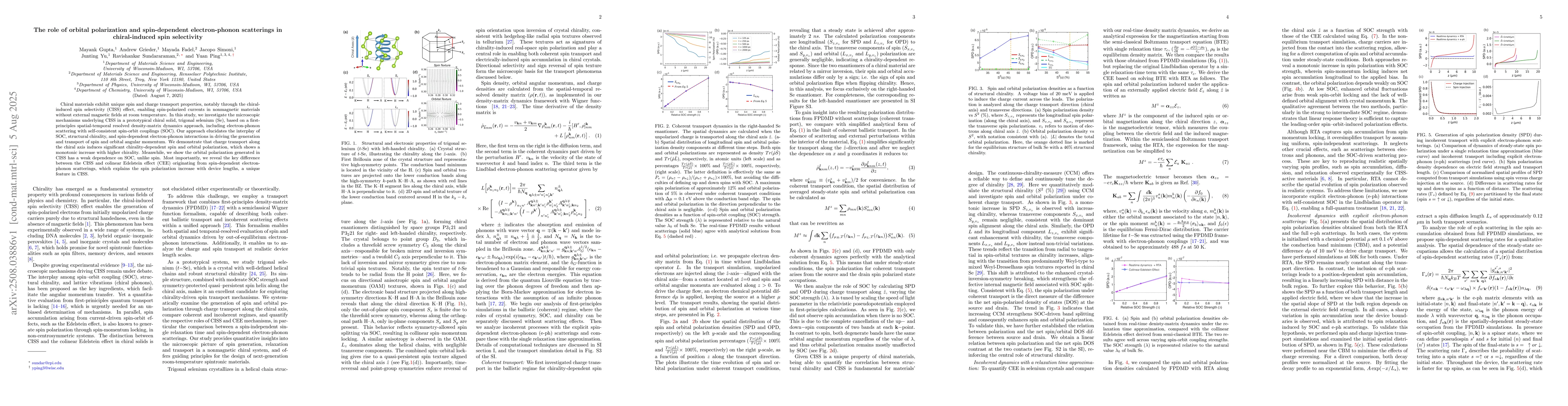 Thumbnail for The role of orbital polarization and spin-dependent electron-phonon
  scatterings in chiral-induced spin selectivity
