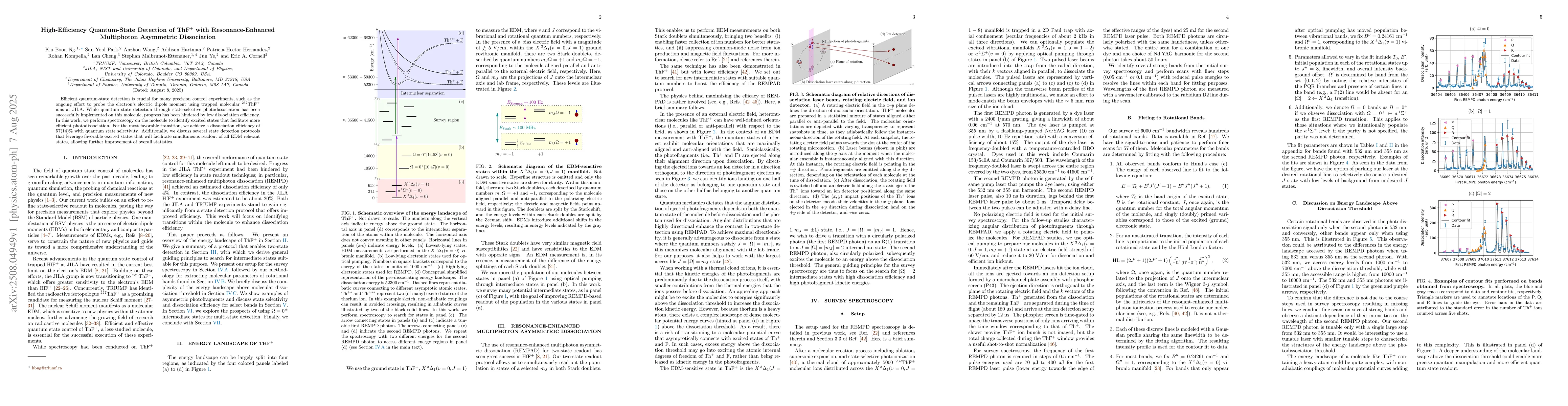 Thumbnail for High-Efficiency Quantum-State Detection of ThF$^+$ with
  Resonance-Enhanced Multiphoton Asymmetric Dissociation