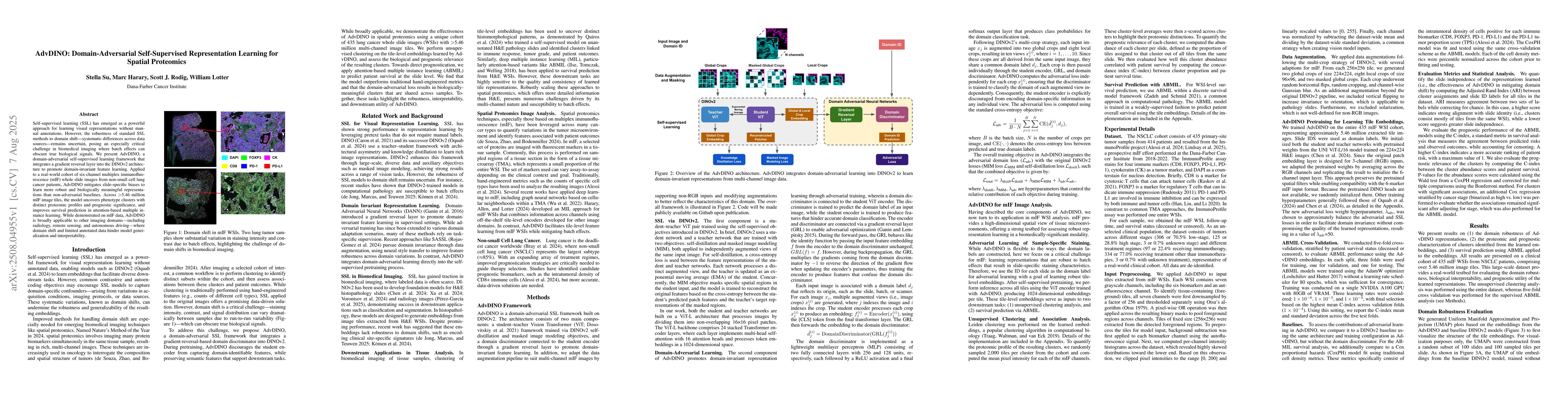 Thumbnail for AdvDINO: Domain-Adversarial Self-Supervised Representation Learning for
  Spatial Proteomics