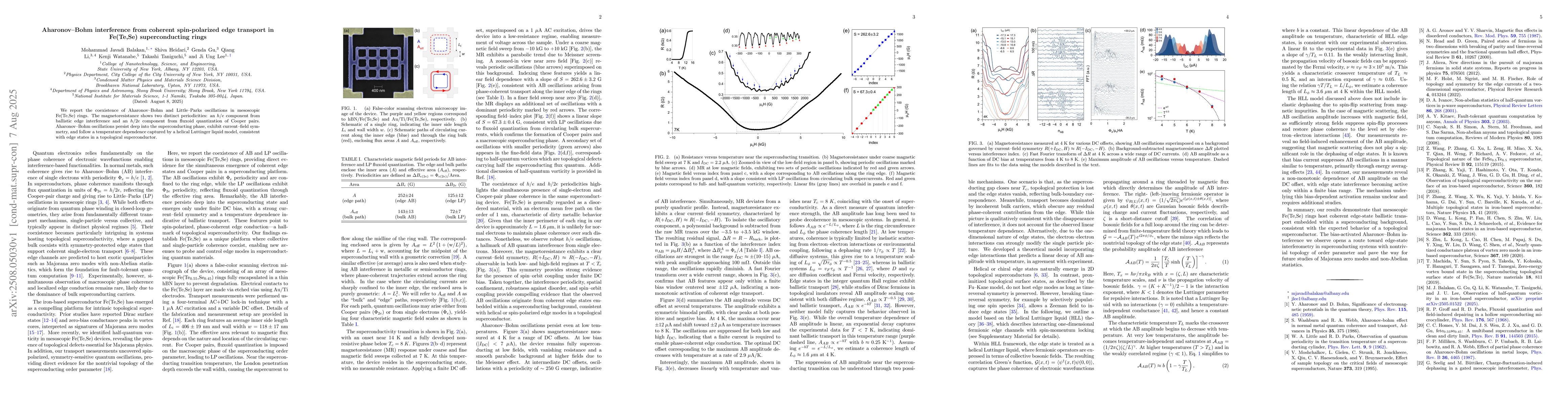Thumbnail for Aharonov-Bohm interference from coherent spin-polarized edge transport
  in Fe(Te,Se) superconducting rings