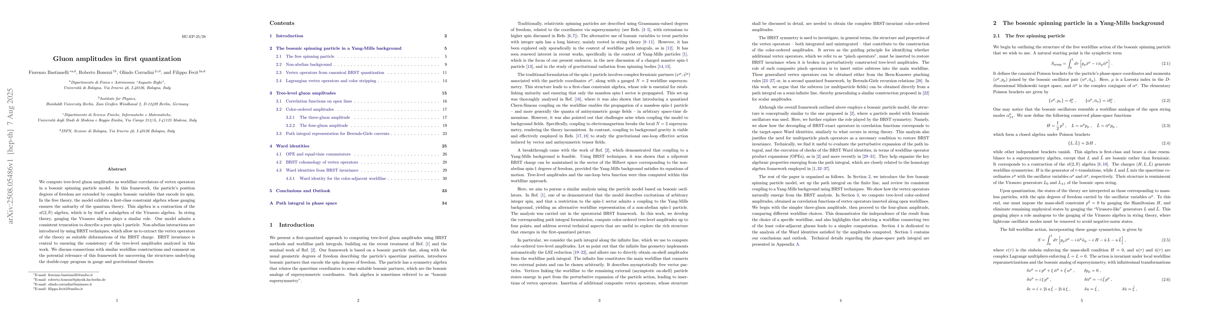 Thumbnail for Gluon amplitudes in first quantization