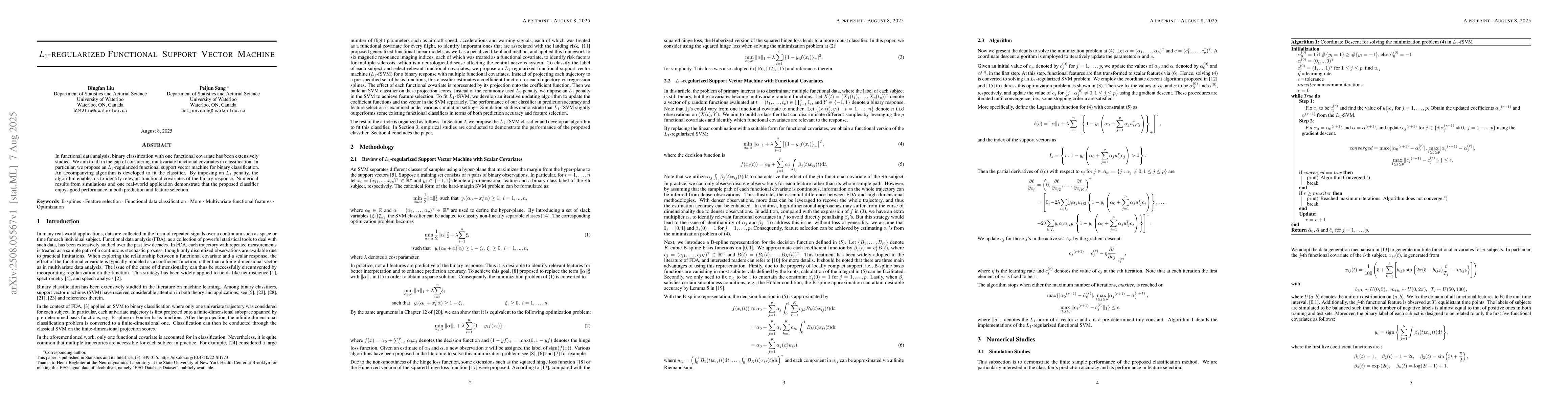 Thumbnail for L1-Regularized Functional Support Vector Machine