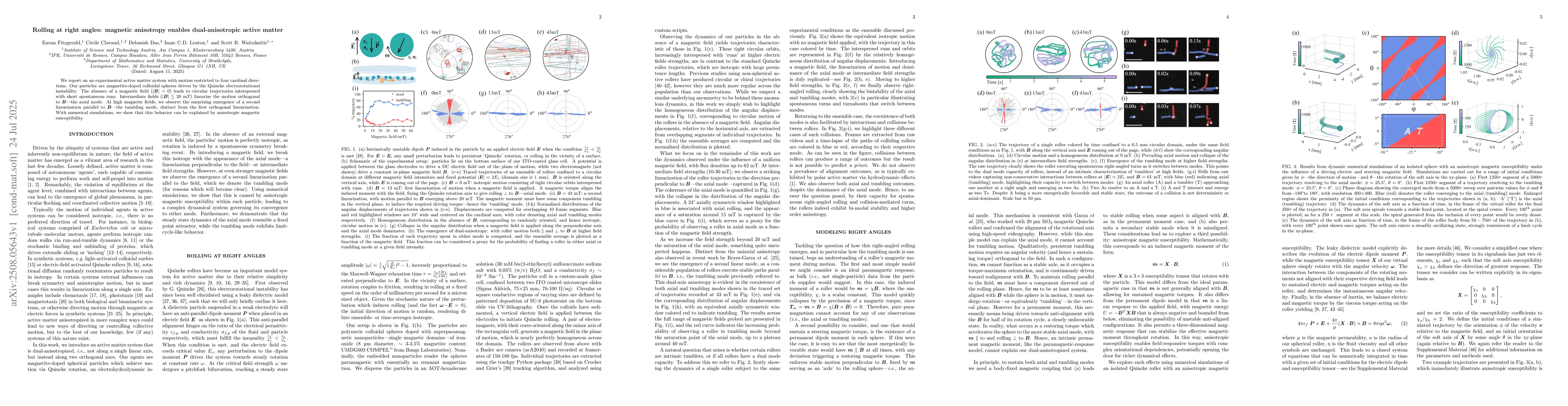 Thumbnail for Rolling at right angles: magnetic anisotropy enables dual-anisotropic
  active matter