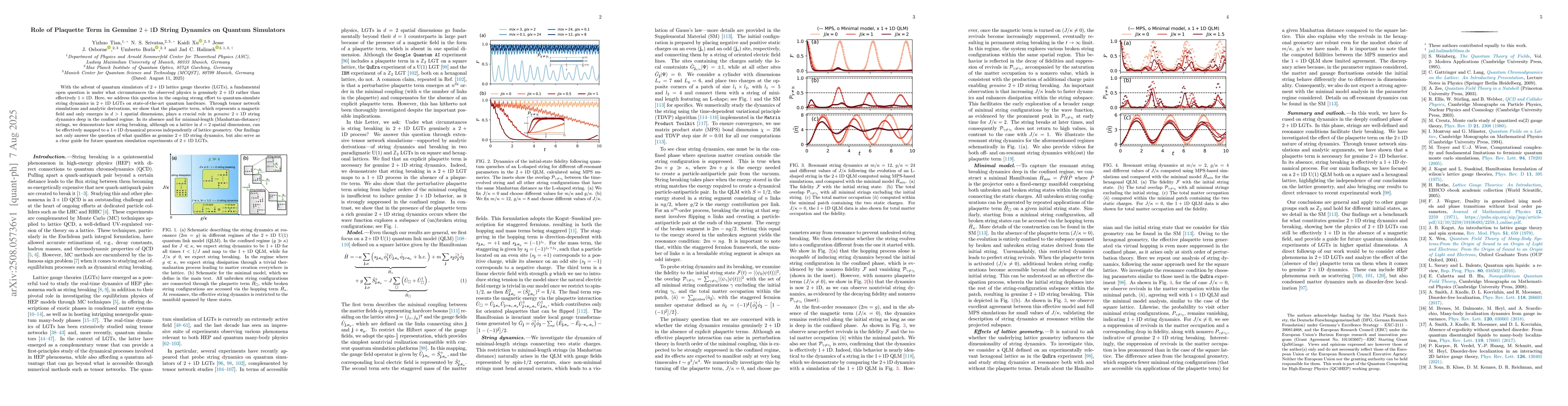 Thumbnail for Role of Plaquette Term in Genuine $2+1$D String Dynamics on Quantum
  Simulators