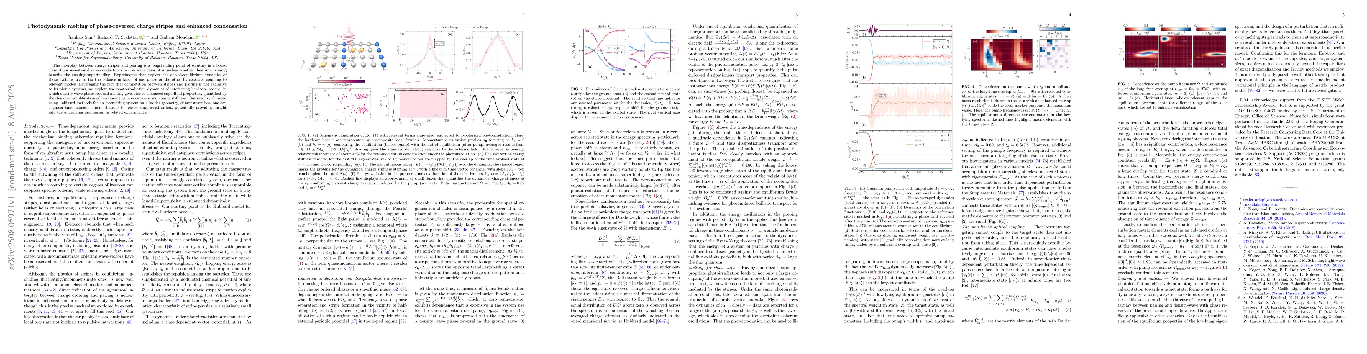 Thumbnail for Photodynamic melting of phase-reversed charge stripes and enhanced
  condensation