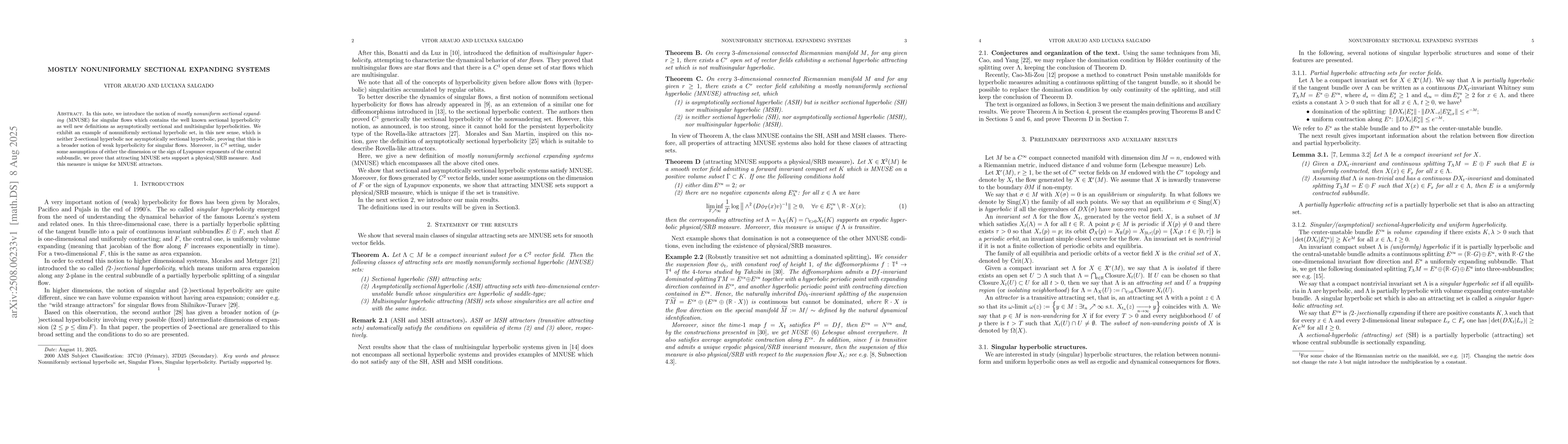 Thumbnail for Mostly nonuniformly sectional expanding systems
