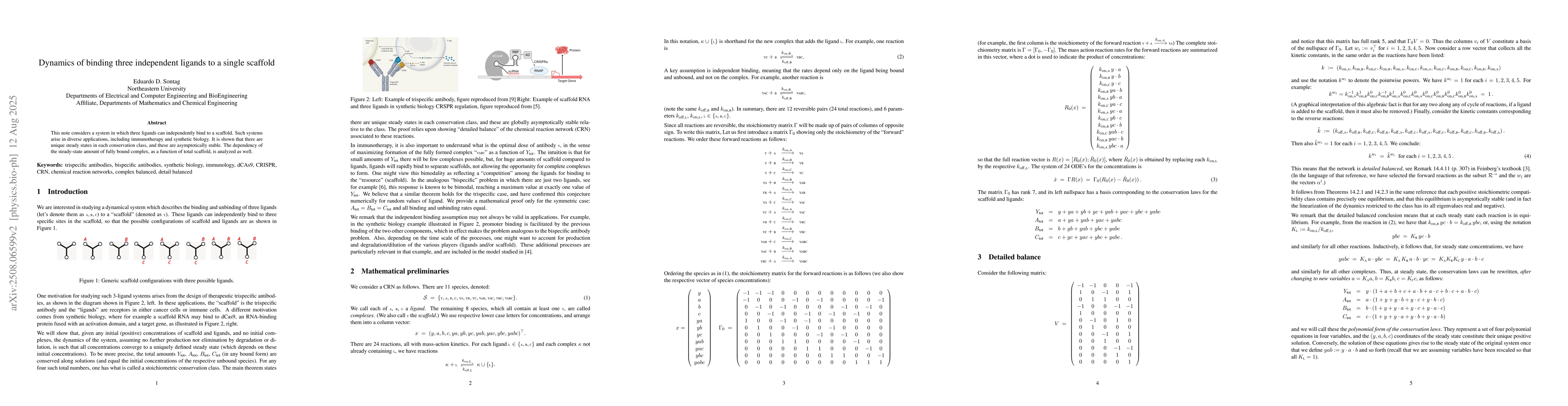 Thumbnail for Dynamics of binding three independent ligands to a single scaffold