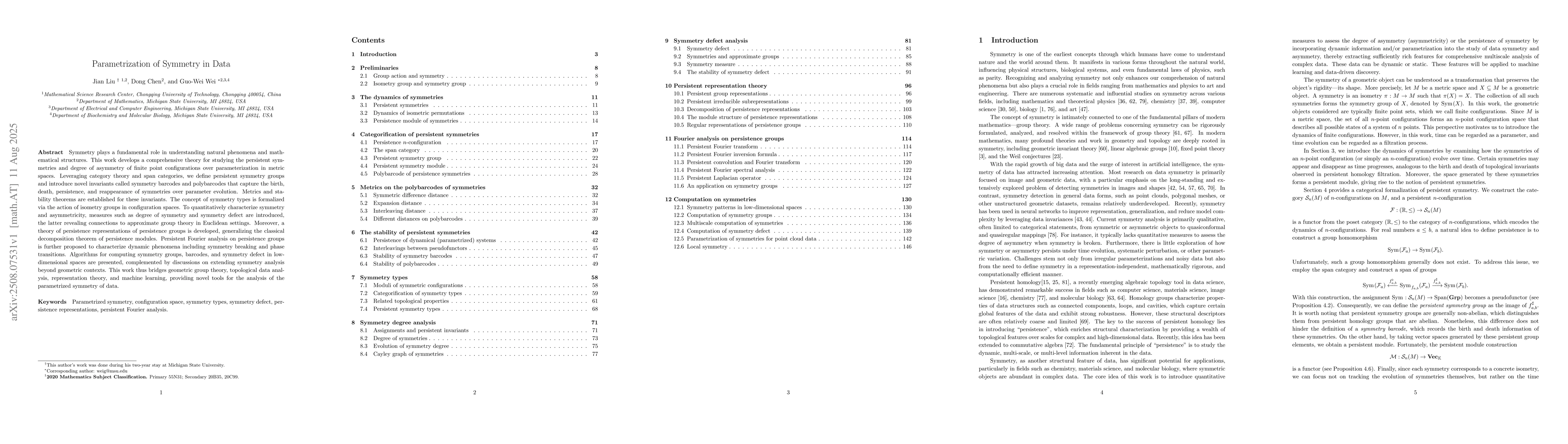Thumbnail for Parametrization of Symmetry in Data