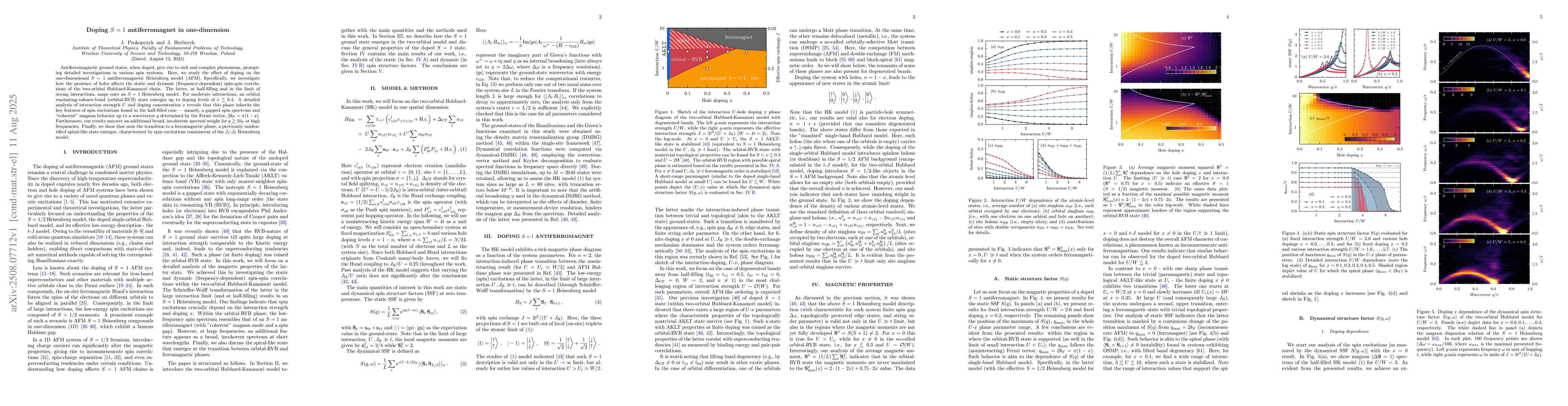 Thumbnail for Doping $S=1$ antiferromagnet in one-dimension
