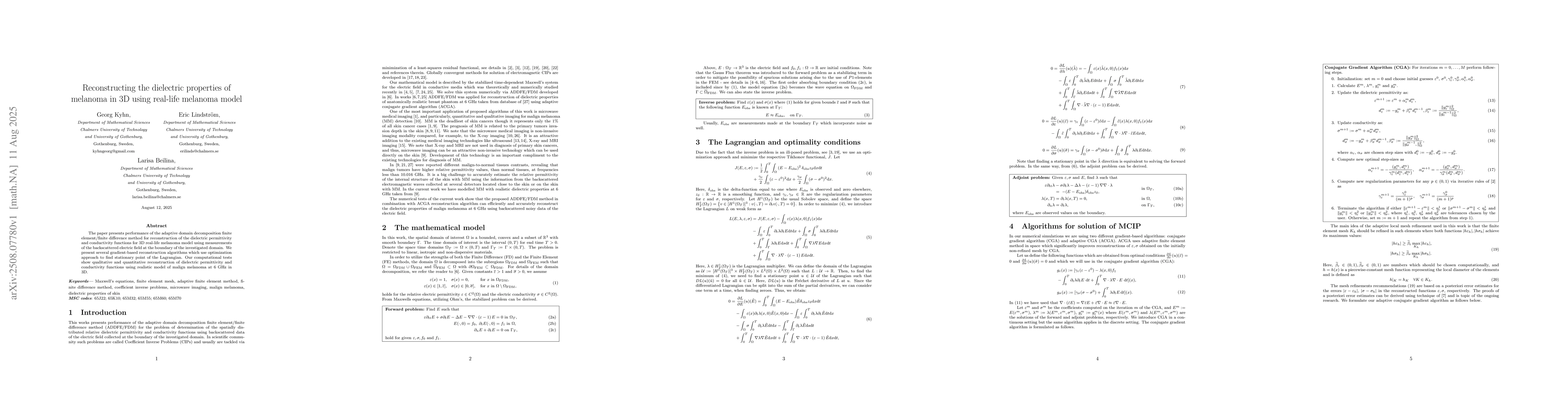 Thumbnail for Reconstructing the dielectric properties of melanoma in 3D using
  real-life melanoma model